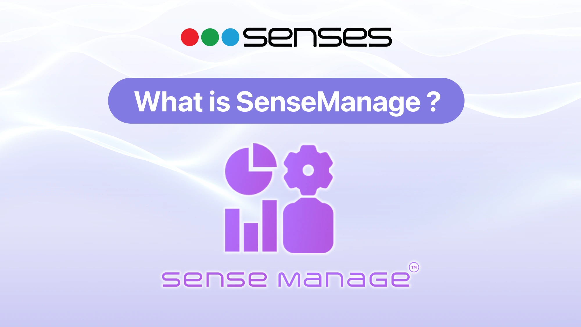 SenseManage by senses electronics